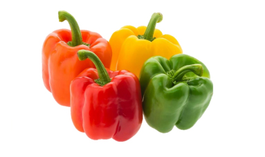 Capsicum