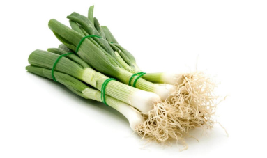 Spring Onion